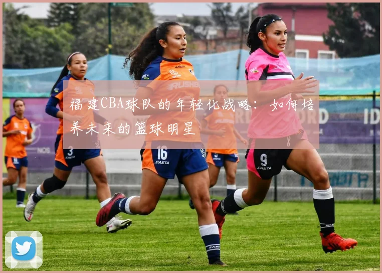 福建CBA球队的年轻化战略：如何培养未来的篮球明星