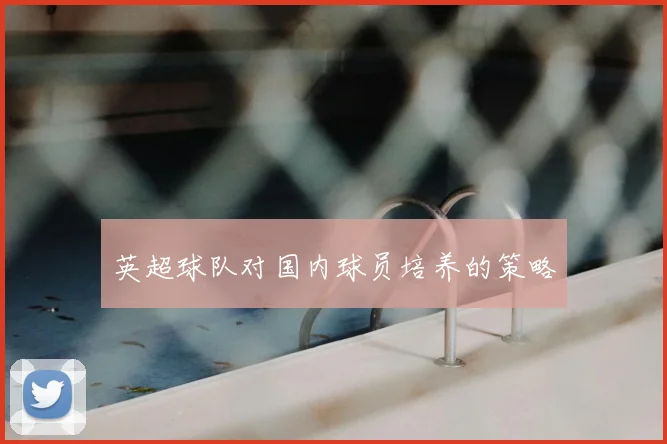 英超球队对国内球员培养的策略