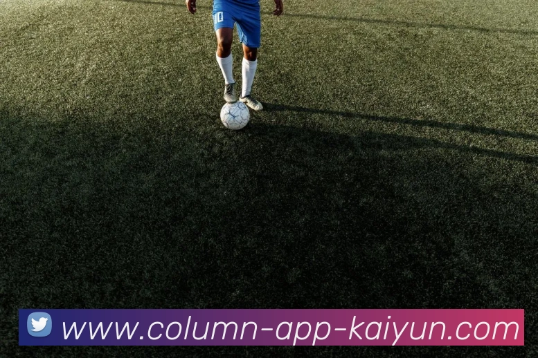 开云app服务体系